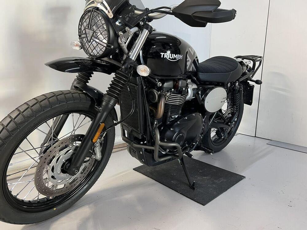 Triumph Street Scrambler 900 (2021 - 22) (5)