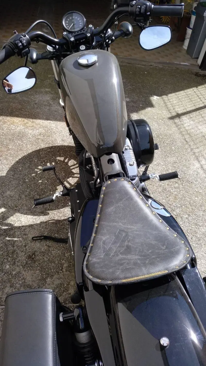 Harley-Davidson 1200 Forty-Eight (2016 - 20) (5)