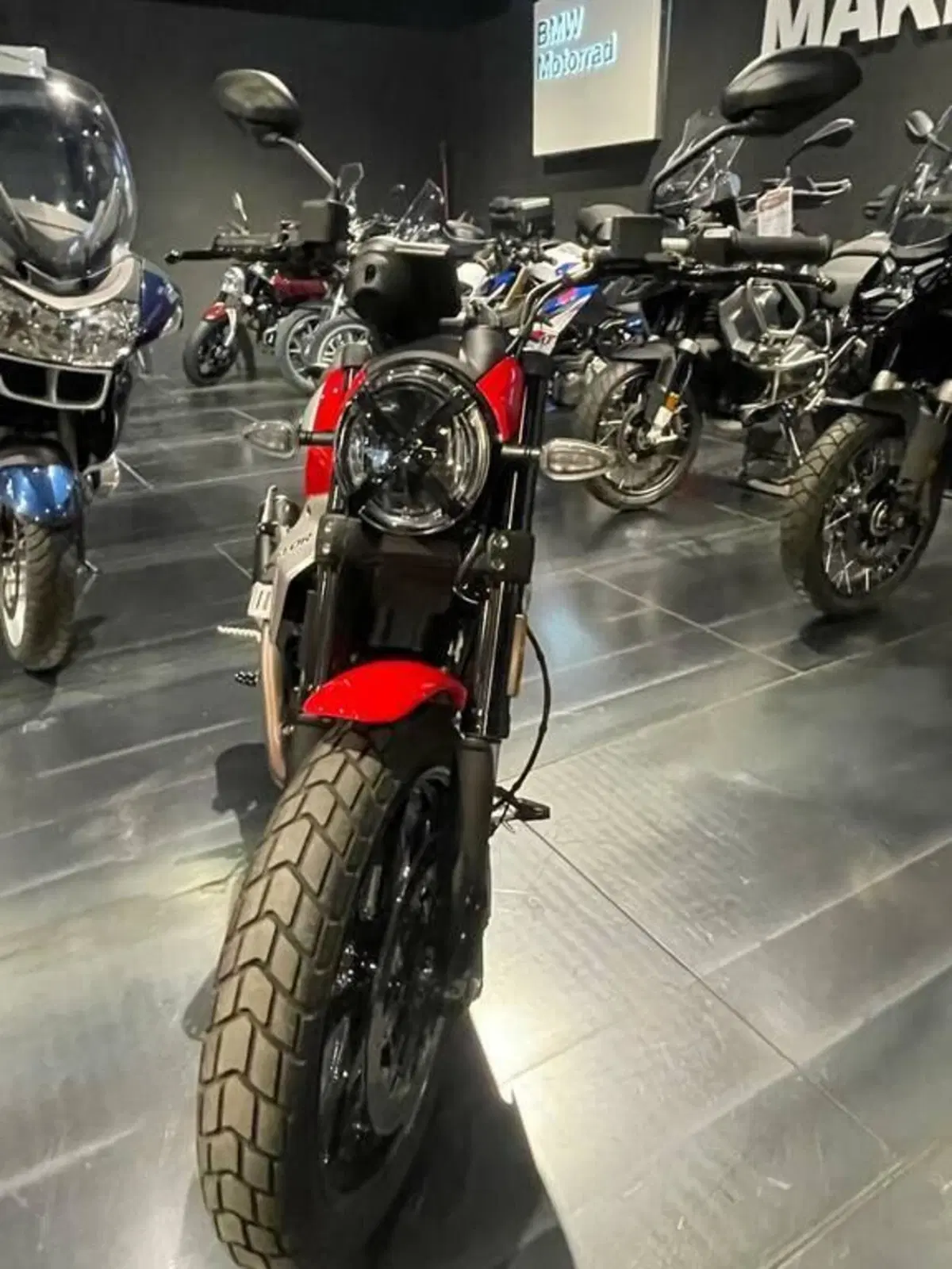 Ducati Scrambler 800 Icon (2023 - 24) (5)