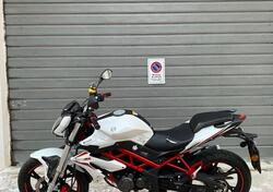 Benelli BN 125 (2018 - 20) usata
