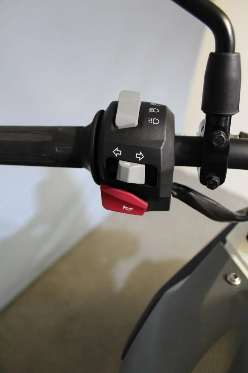 Bmw G 310 GS (2021 - 25) (10)