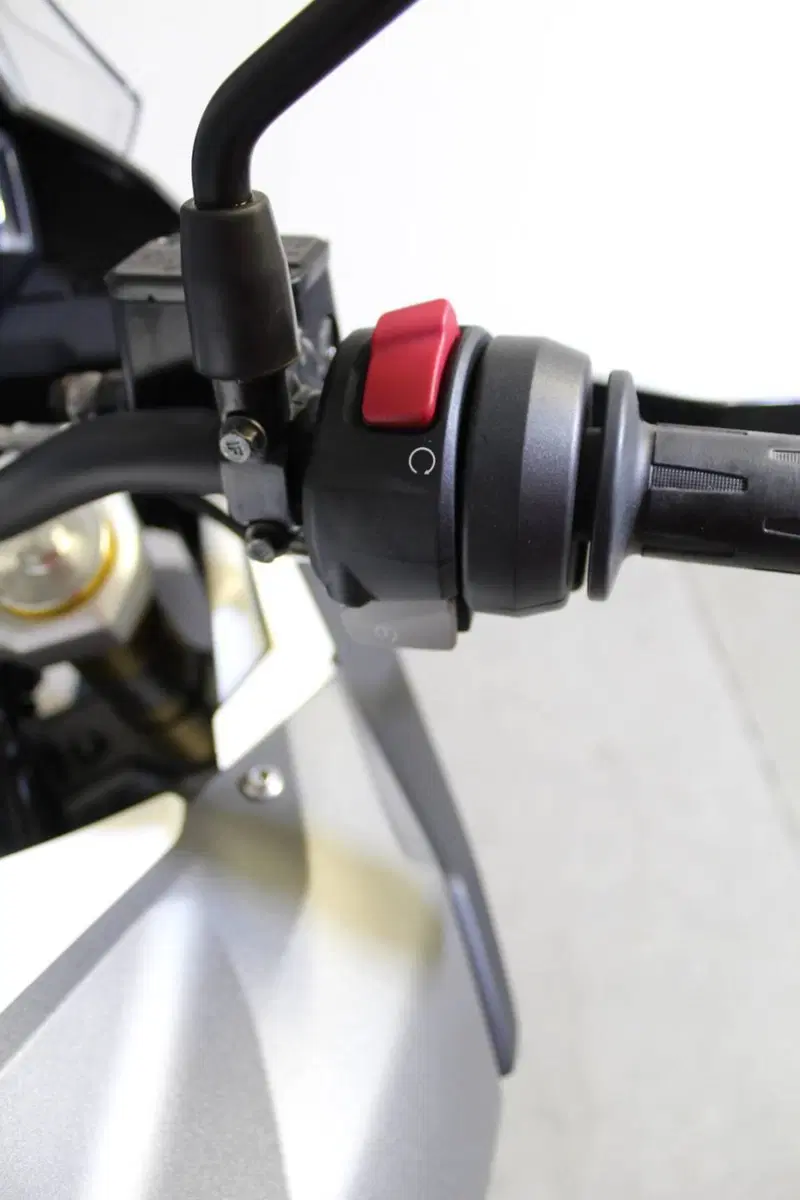 Bmw G 310 GS (2021 - 25) (11)