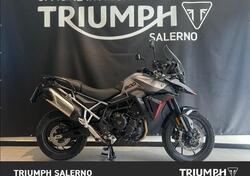 Triumph Tiger 900 GT Pro (2024 - 25) usata
