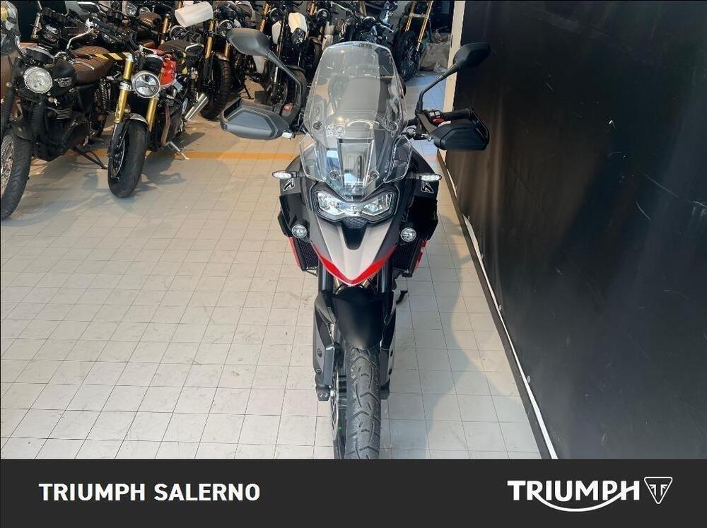 Triumph Tiger 900 GT Pro (2024 - 25) (3)