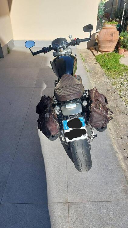 Triumph Speed Twin 1200 (2021 - 24) (4)