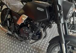 Brixton Motorcycles Felsberg 250 (2021 - 25) nuova