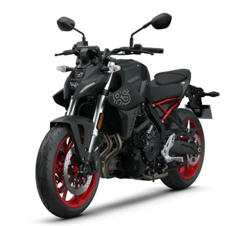 Suzuki GSX-8S (2025 - 26)