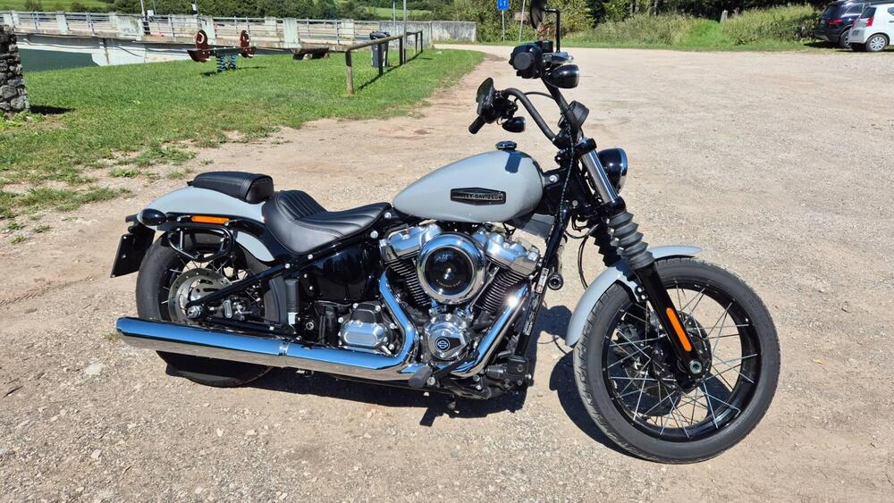 Harley-Davidson Street Bob 117 (2025)