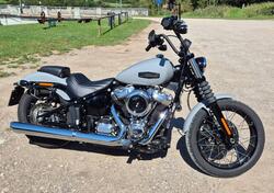 Harley-Davidson Street Bob 117 (2025) usata