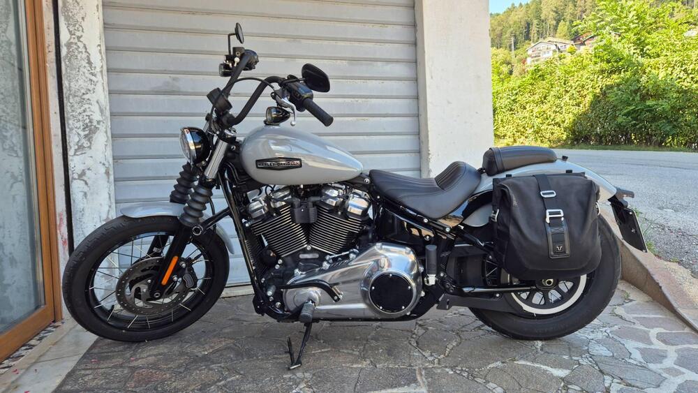 Harley-Davidson Street Bob 117 (2025) (2)