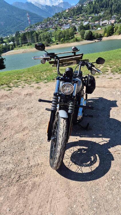 Harley-Davidson Street Bob 117 (2025) (3)