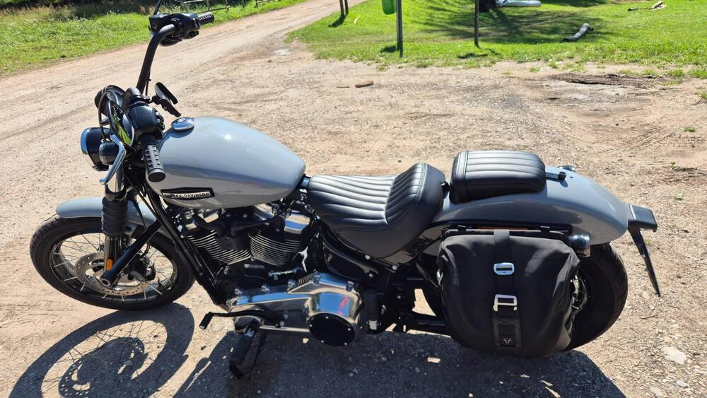 Harley-Davidson Street Bob 117 (2025) (4)