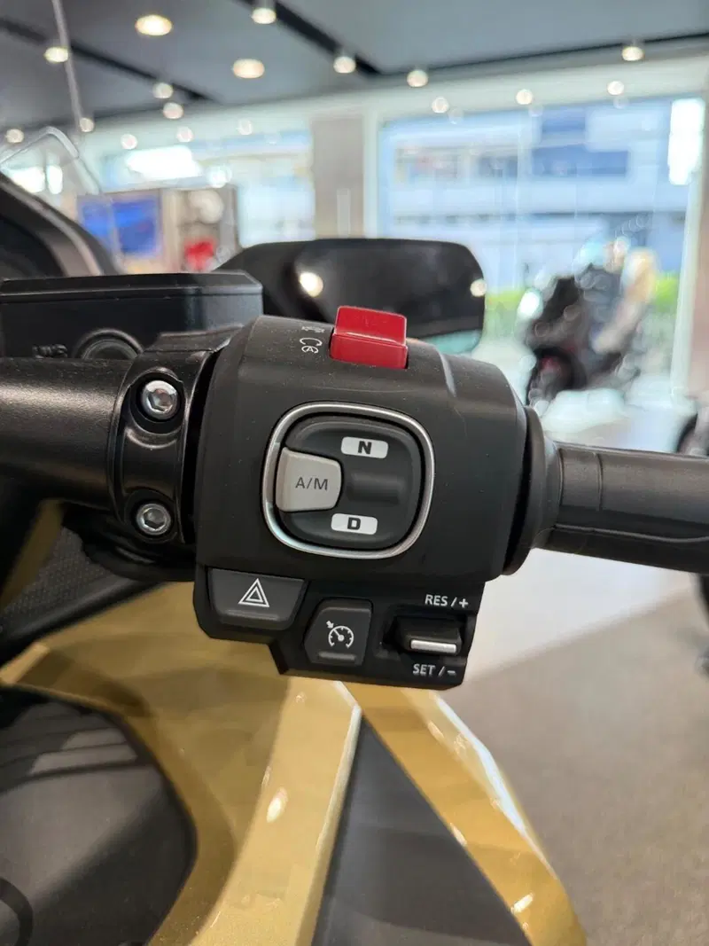 Honda GL 1800 Gold Wing Tour 50° Anniversario (2025 - 26) (5)