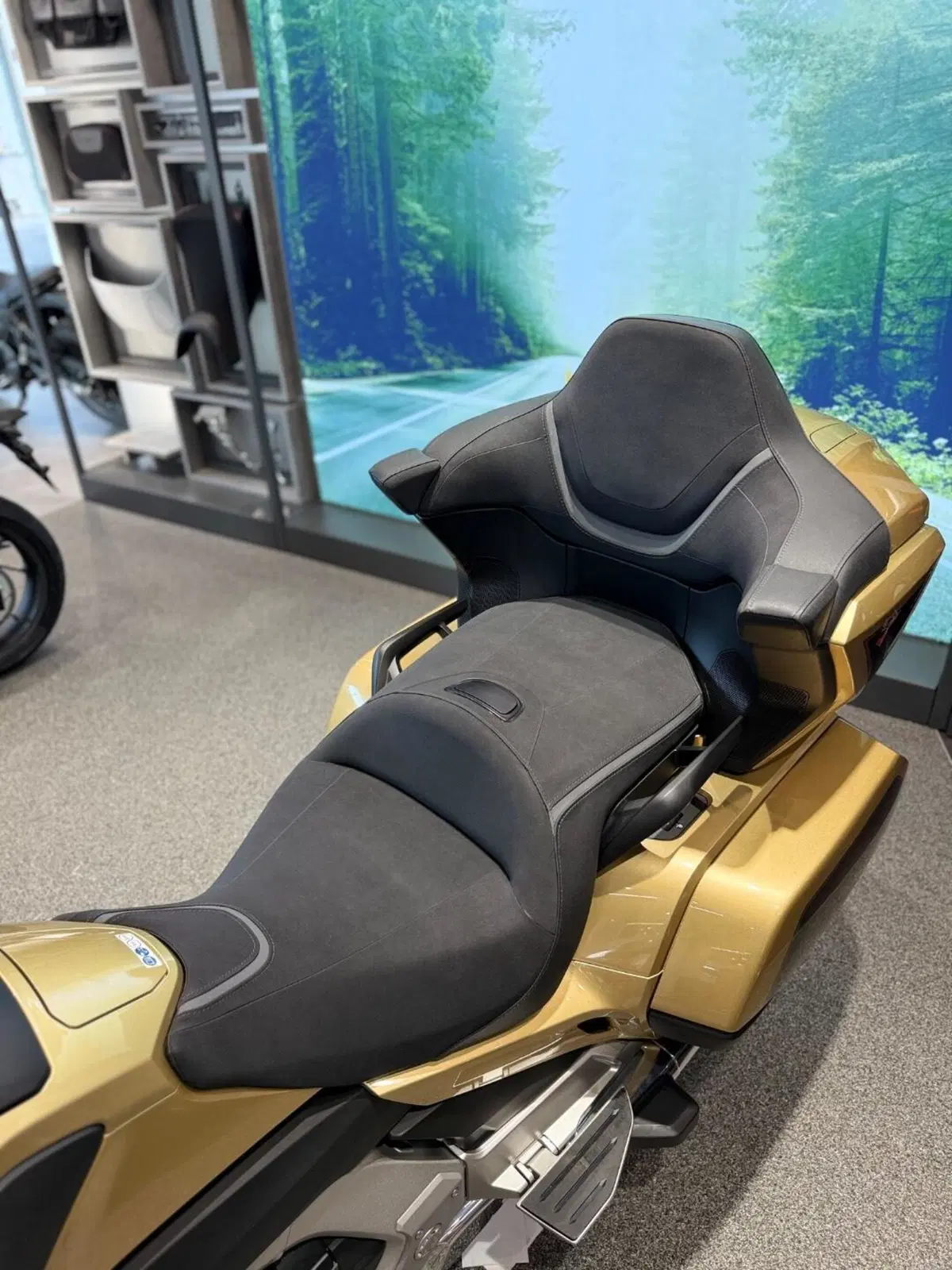 Honda GL 1800 Gold Wing Tour 50° Anniversario (2025 - 26) (7)