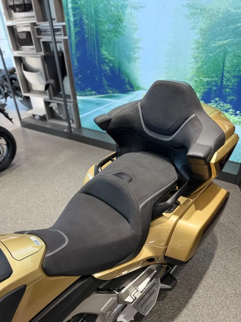 Honda GL 1800 Gold Wing Tour 50° Anniversario (2025 - 26) (7)