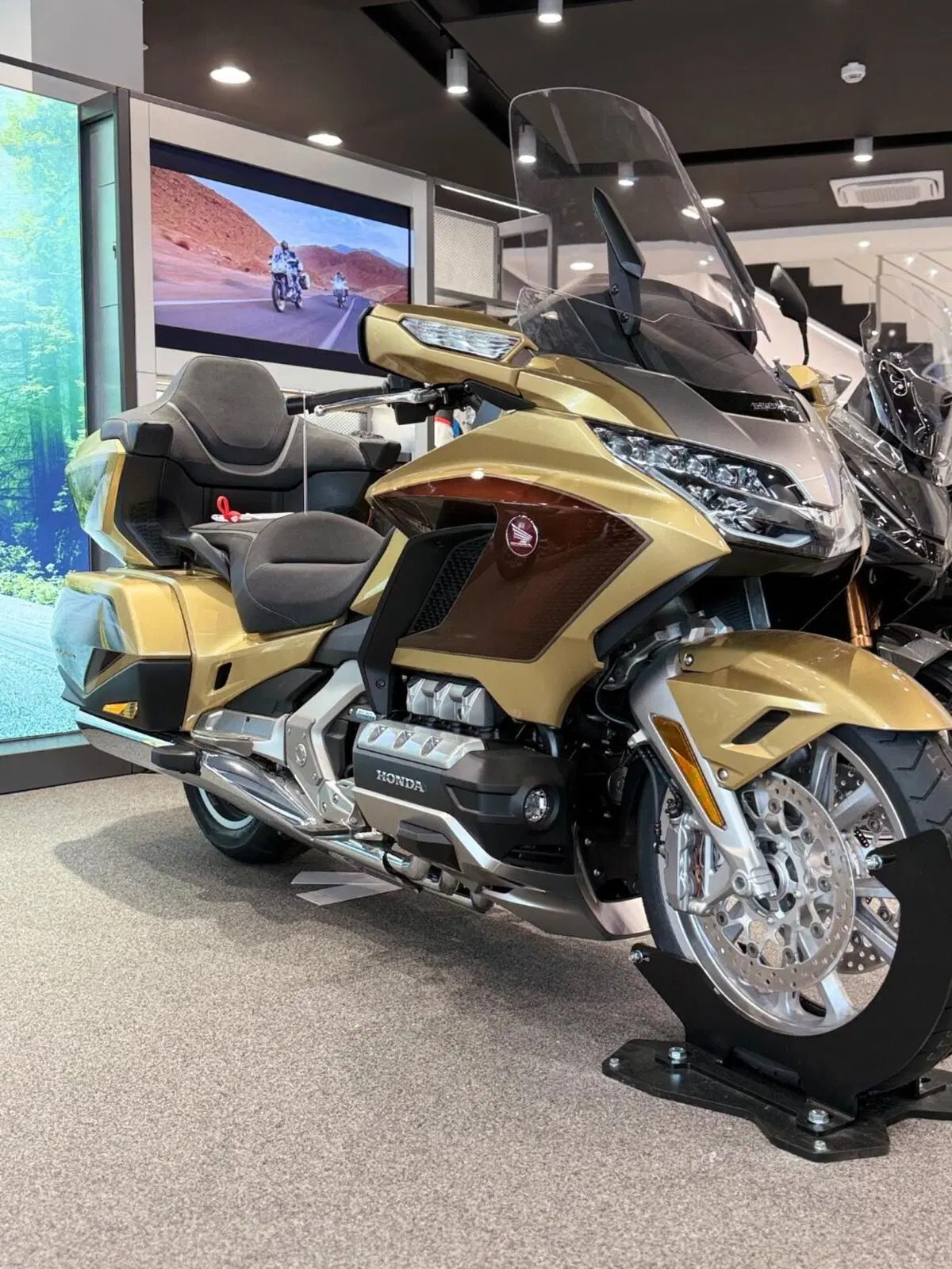 Honda GL 1800 Gold Wing Tour 50° Anniversario (2025 - 26) (3)