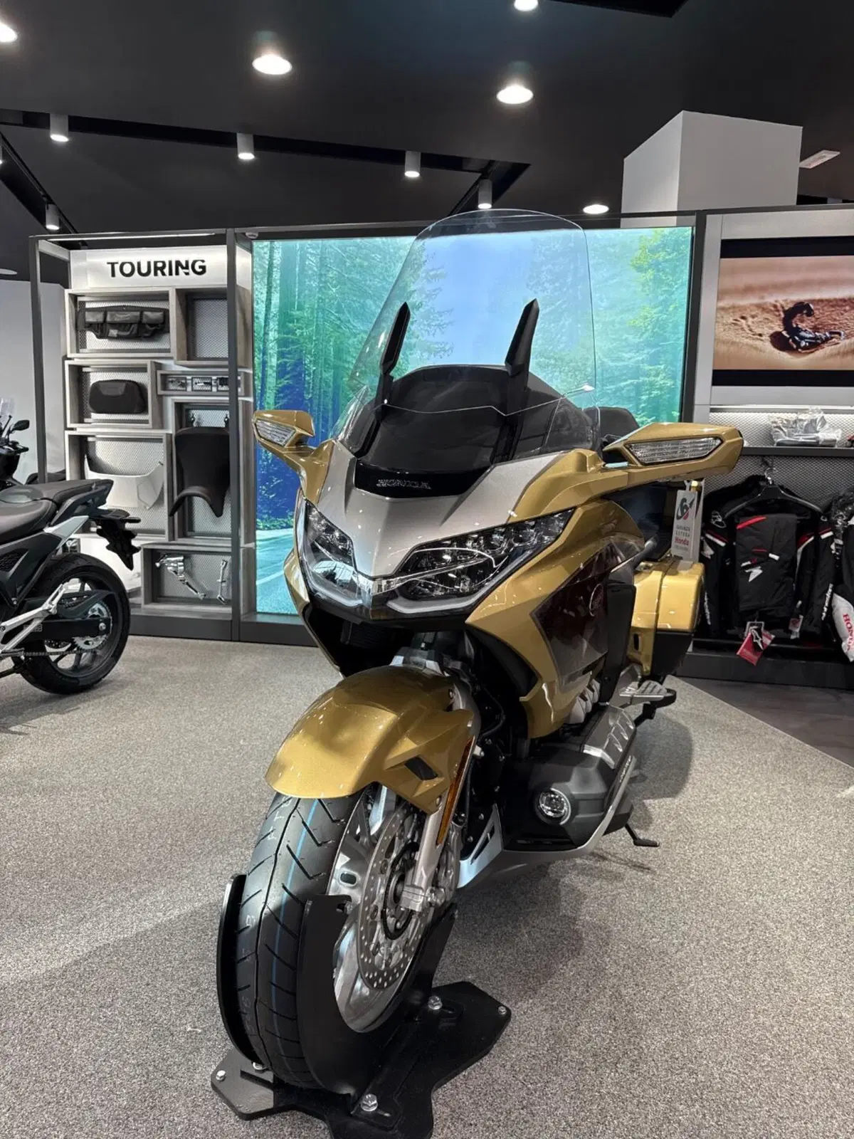 Honda GL 1800 Gold Wing Tour 50° Anniversario (2025 - 26) (2)