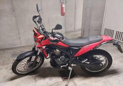 Betamotor Alp 4.0 (2024 - 25) usata