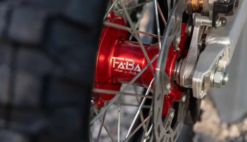 Fantic Motor XEF 450 Rally Factory (2023) (5)