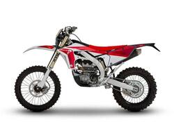 Fantic Motor XEF 310 (2024) usata