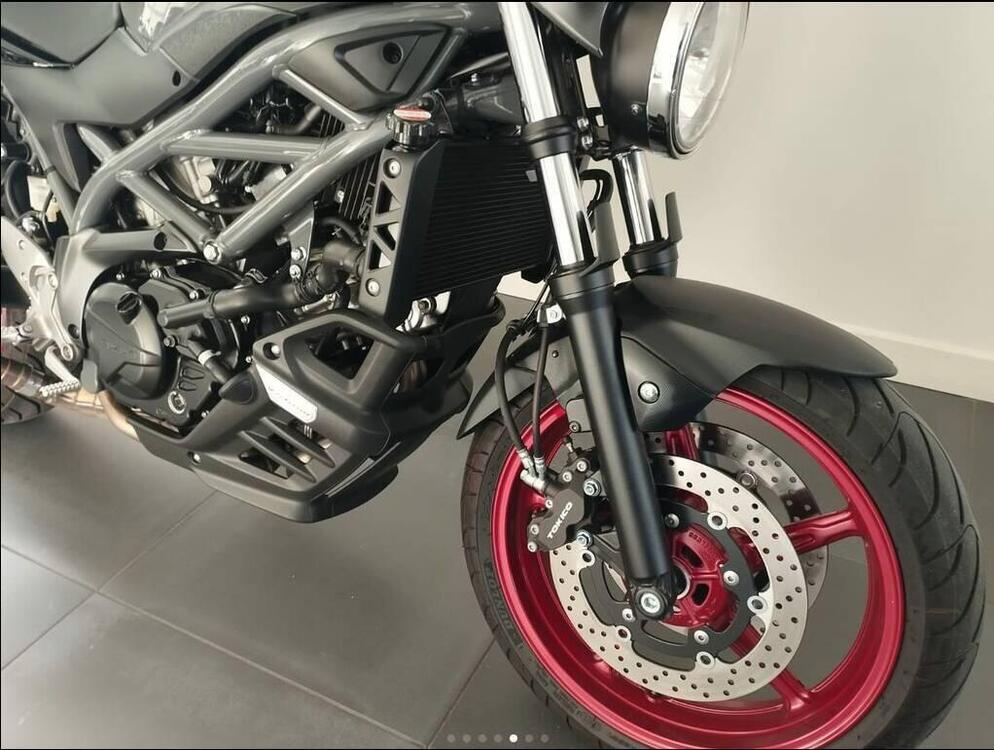 Suzuki SV650 (2021 - 24) (2)