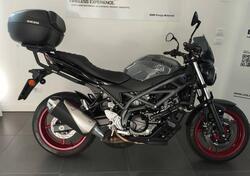 Suzuki SV650 (2021 - 24) usata