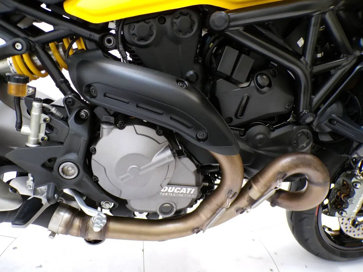Ducati Monster 821 (2018 - 20) (9)