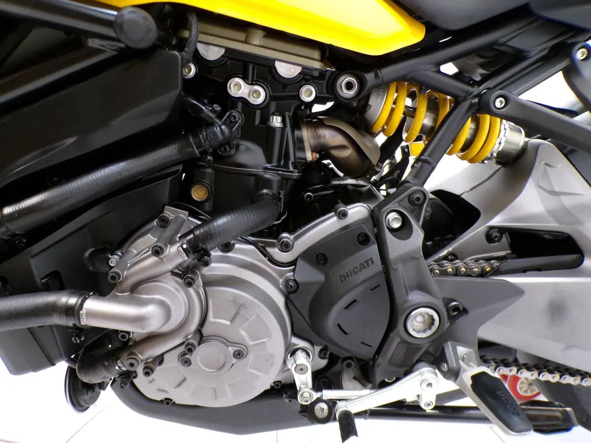 Ducati Monster 821 (2018 - 20) (10)