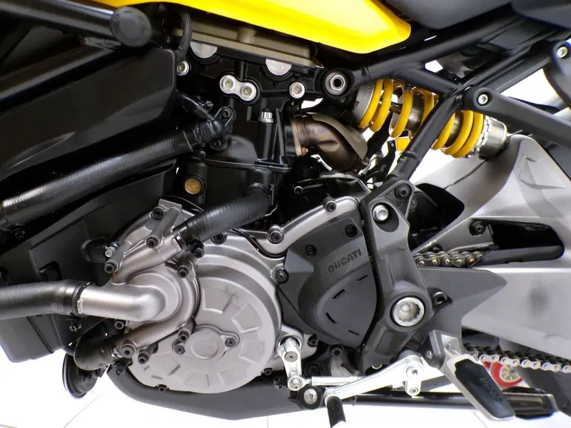 Ducati Monster 821 (2018 - 20) (10)