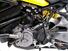 Ducati Monster 821 (2018 - 20) (10)