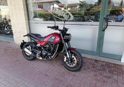 Benelli Leoncino 500 (2021 - 25) usata