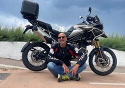 Triumph Tiger 1200 Rally Pro (2024 - 25) usata
