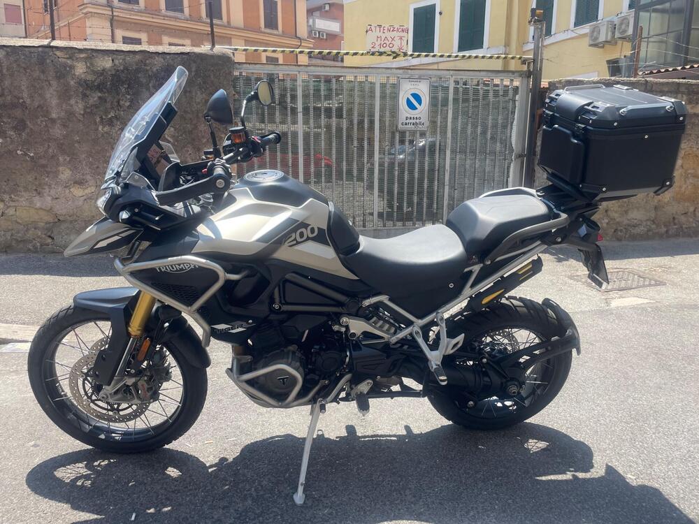 Triumph Tiger 1200 Rally Pro (2024 - 25) (4)