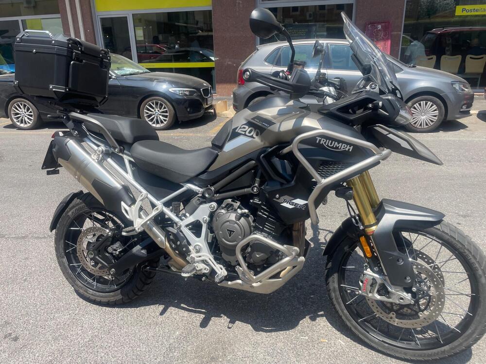 Triumph Tiger 1200 Rally Pro (2024 - 25) (5)