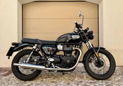Triumph Bonneville T100 (2021 - 25) usata