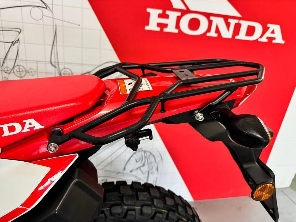 Honda CRF 300 L (2021 - 24) (4)