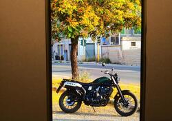 Honda CL500 (2023 - 24) usata