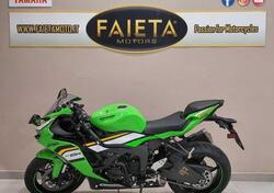 Kawasaki Ninja 636 ZX-6R (2024 - 26) usata