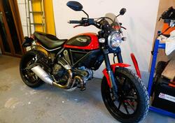 Ducati Scrambler 800 Icon (2015 - 16) usata
