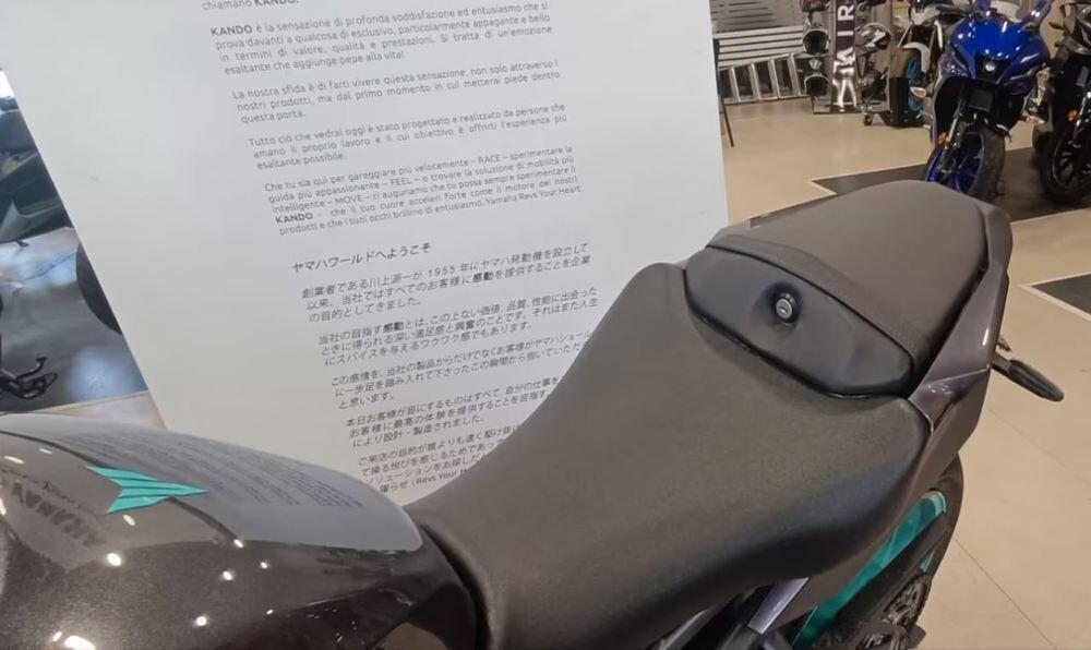 Yamaha MT-09 (2024 - 25) (4)