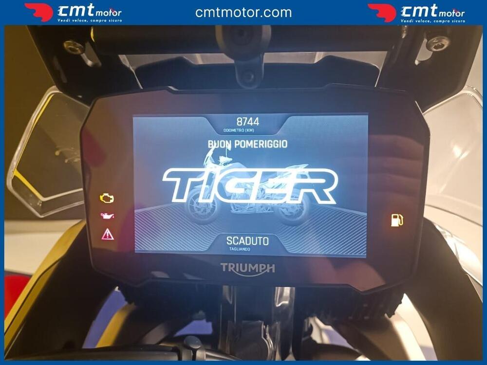Triumph Tiger 900 Rally Pro (2020 - 23) (5)