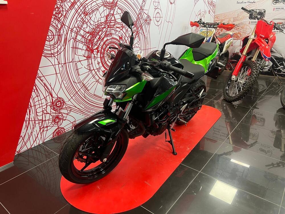 Kawasaki Z 400 (2023) (5)