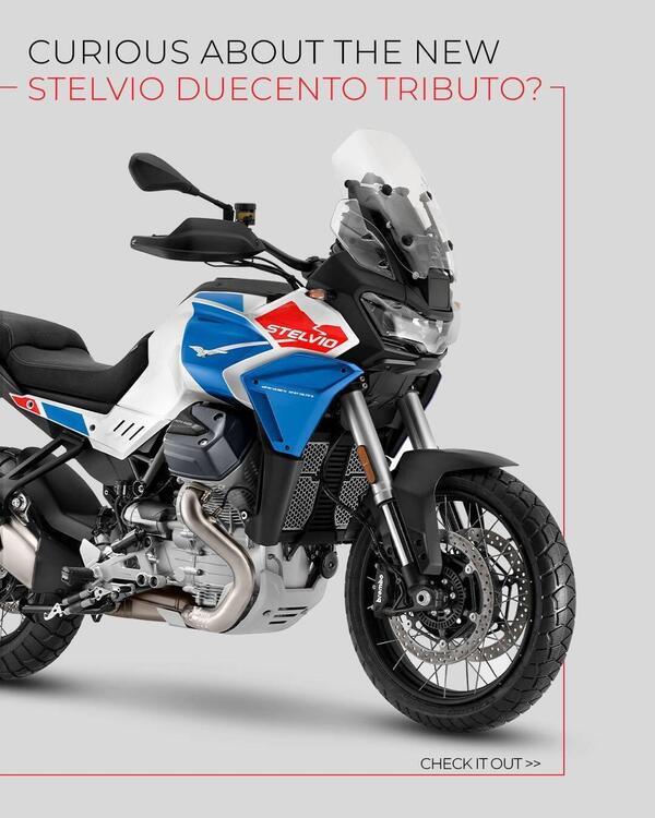 Moto Guzzi Stelvio Duecento Tributo (2025) (3)