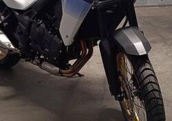 Honda Transalp XL750 (2023 - 24) usata