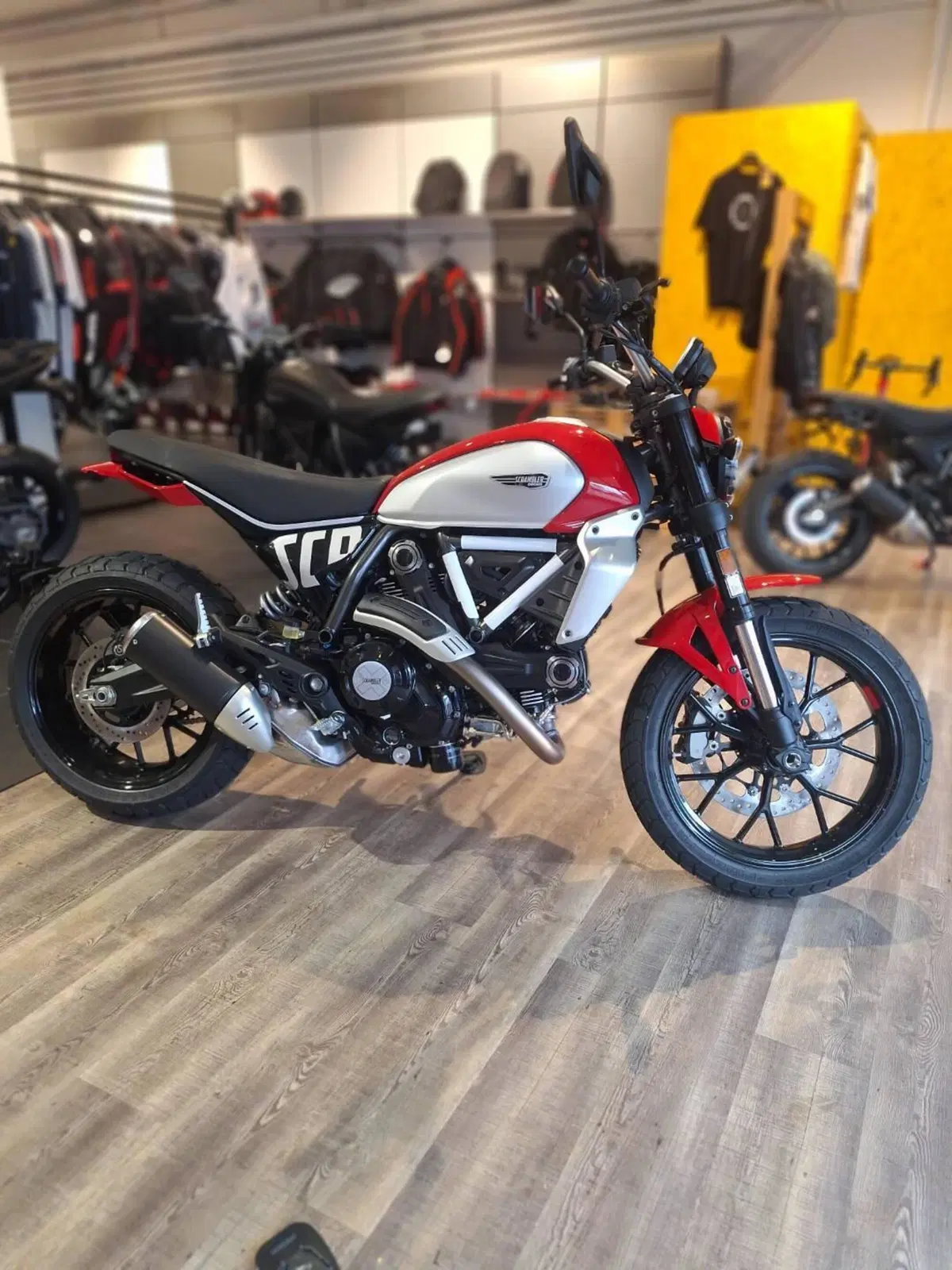 Ducati Scrambler 800 Icon (2023 - 24) (2)