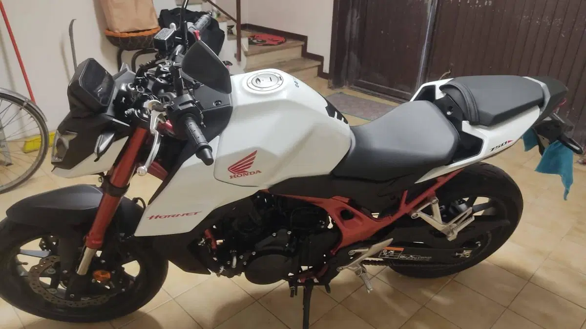 Honda CB 750 Hornet (2023 - 24) (8)