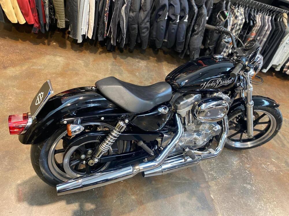 Harley-Davidson 883 Low (2008 - 12) - XL 883L (5)