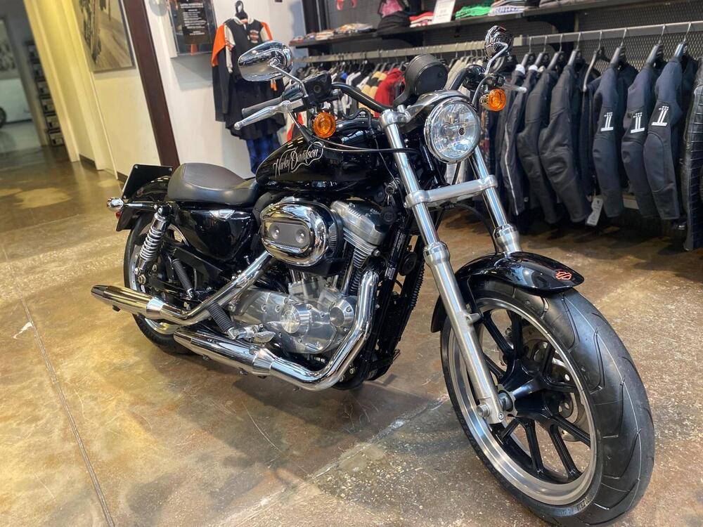 Harley-Davidson 883 Low (2008 - 12) - XL 883L (2)