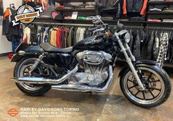 Harley-Davidson 883 Low (2008 - 12) - XL 883L usata