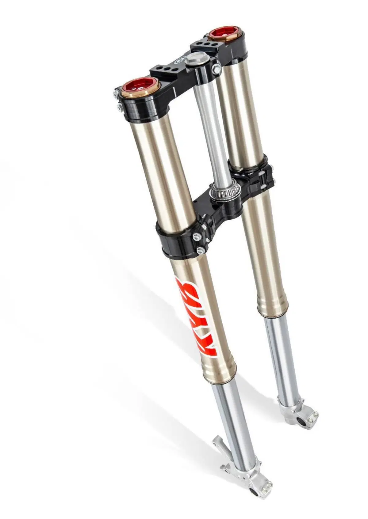 Betamotor RR 300 2T Enduro Race (2025) (13)